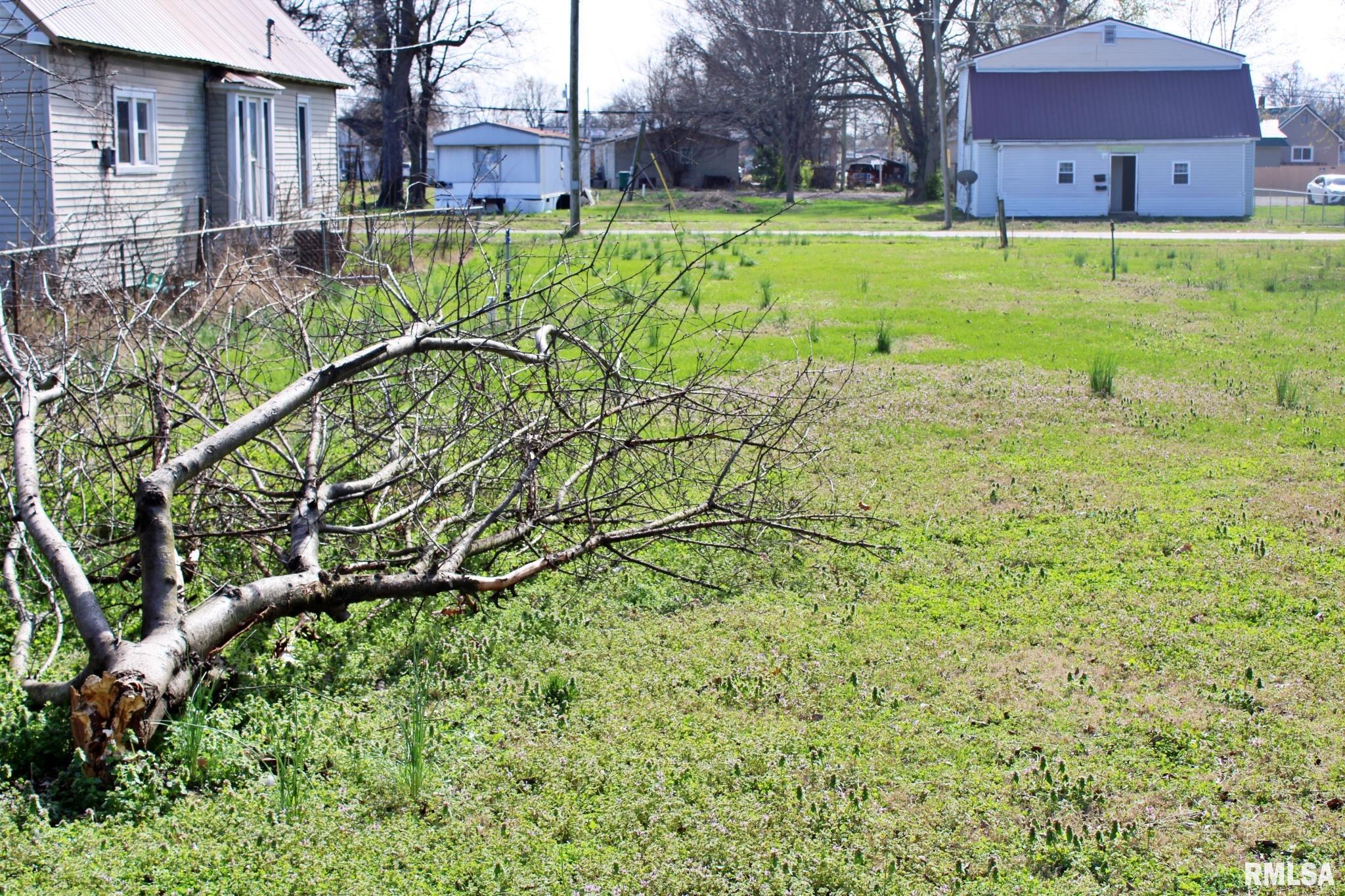 707 East 7th Street, Unit 705 Metropolis, IL 62960 - Photo 4 of 9