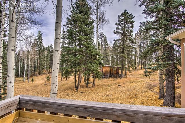 789 Ridge Drive Divide, CO 80814 - Photo 9 of 21 Gallery Image 9