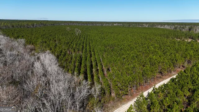 a view of a field with an ocean