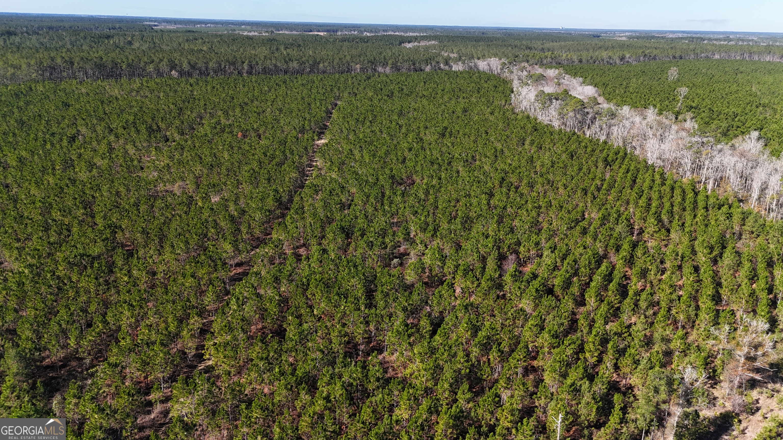 29-ac Owens Road Odum, GA 31555 - Photo 2 of 6 a view of lake with mountain view