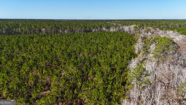 a view of an ocean from a yard