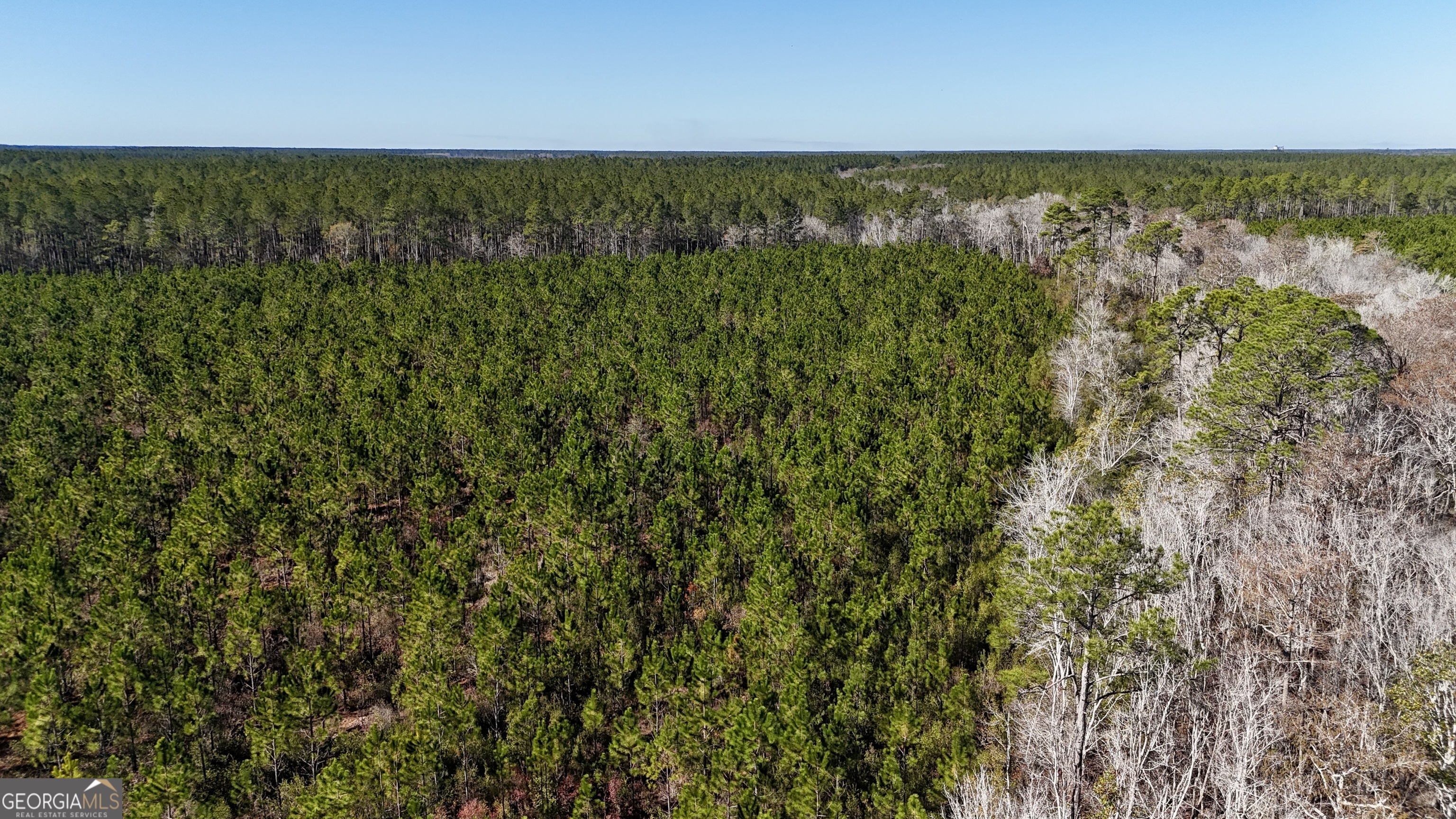 29-ac Owens Road Odum, GA 31555 - Photo 3 of 6 a view of an ocean from a yard