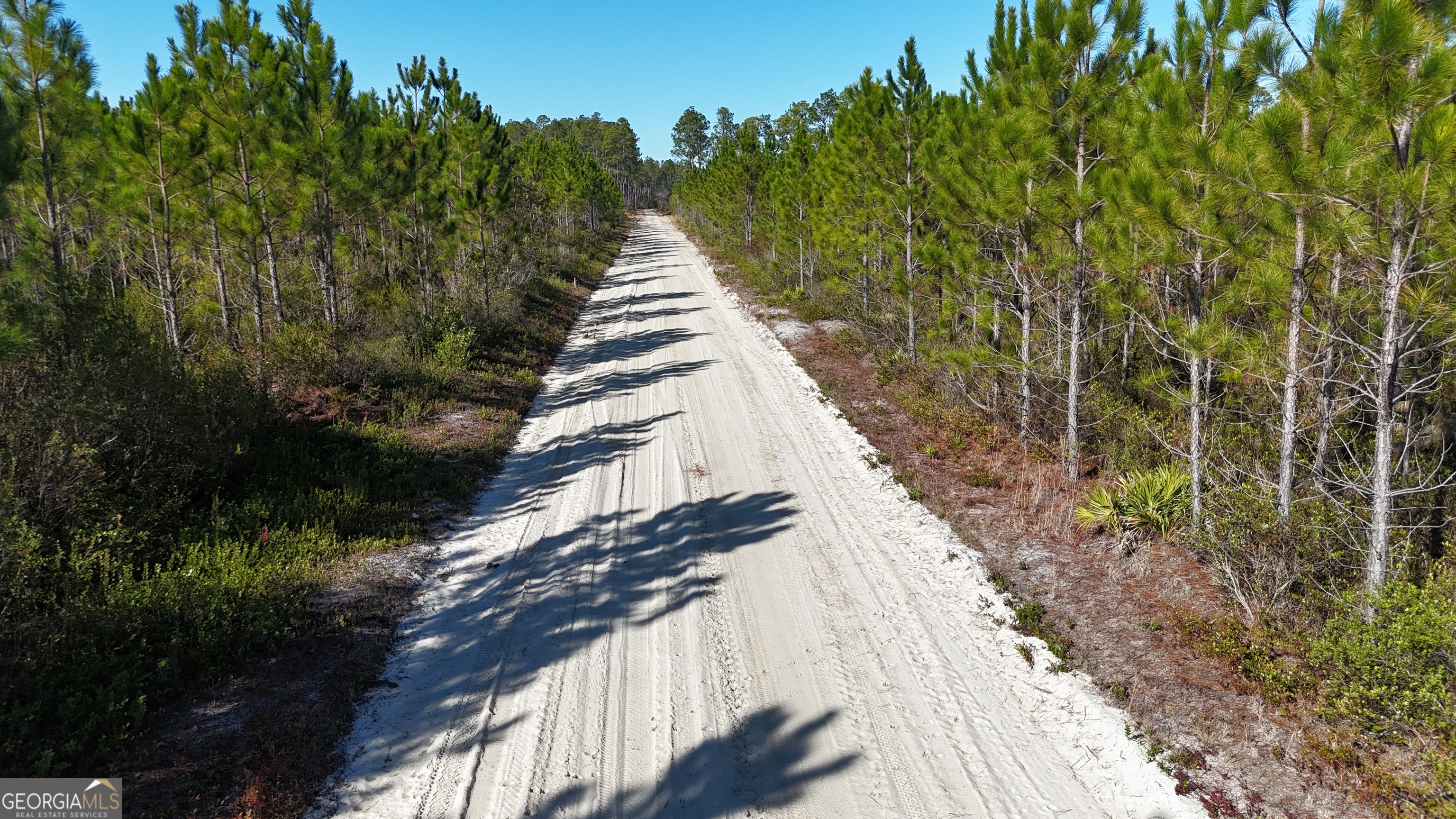 29-ac Owens Road Odum, GA 31555 - Photo 6 of 6 a view of outdoor space and deck