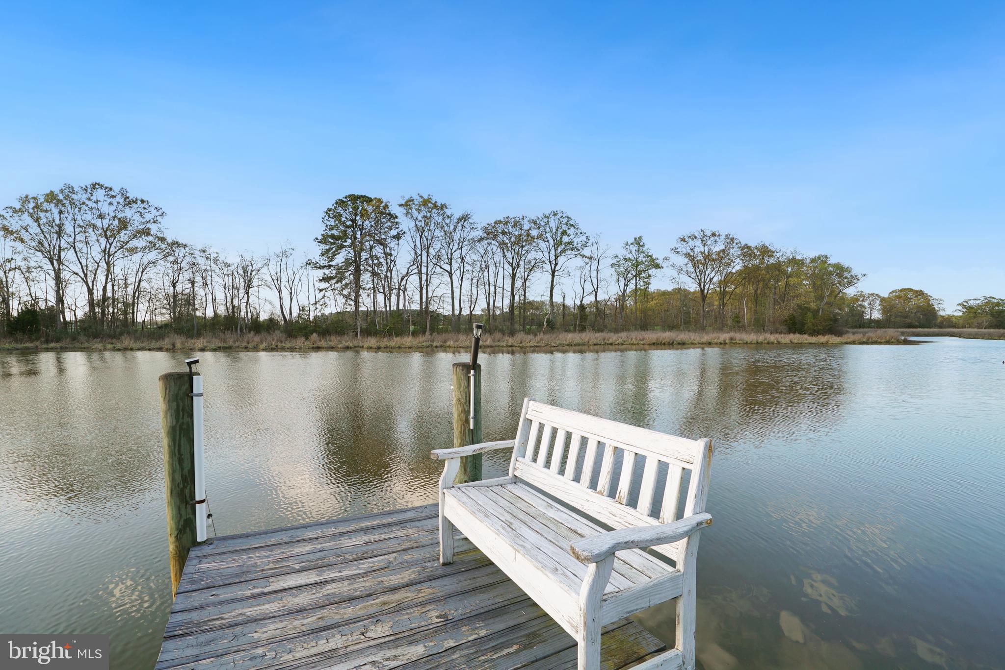 37526 River Springs Road Avenue, MD 20609 - Photo 36 of 61