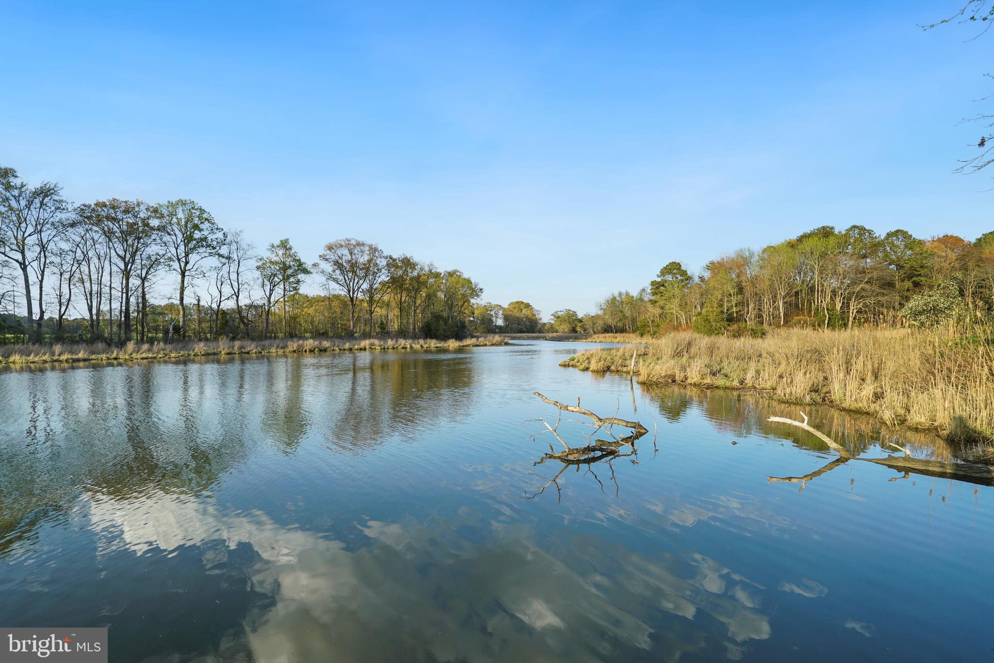 37526 River Springs Road Avenue, MD 20609 - Photo 38 of 61