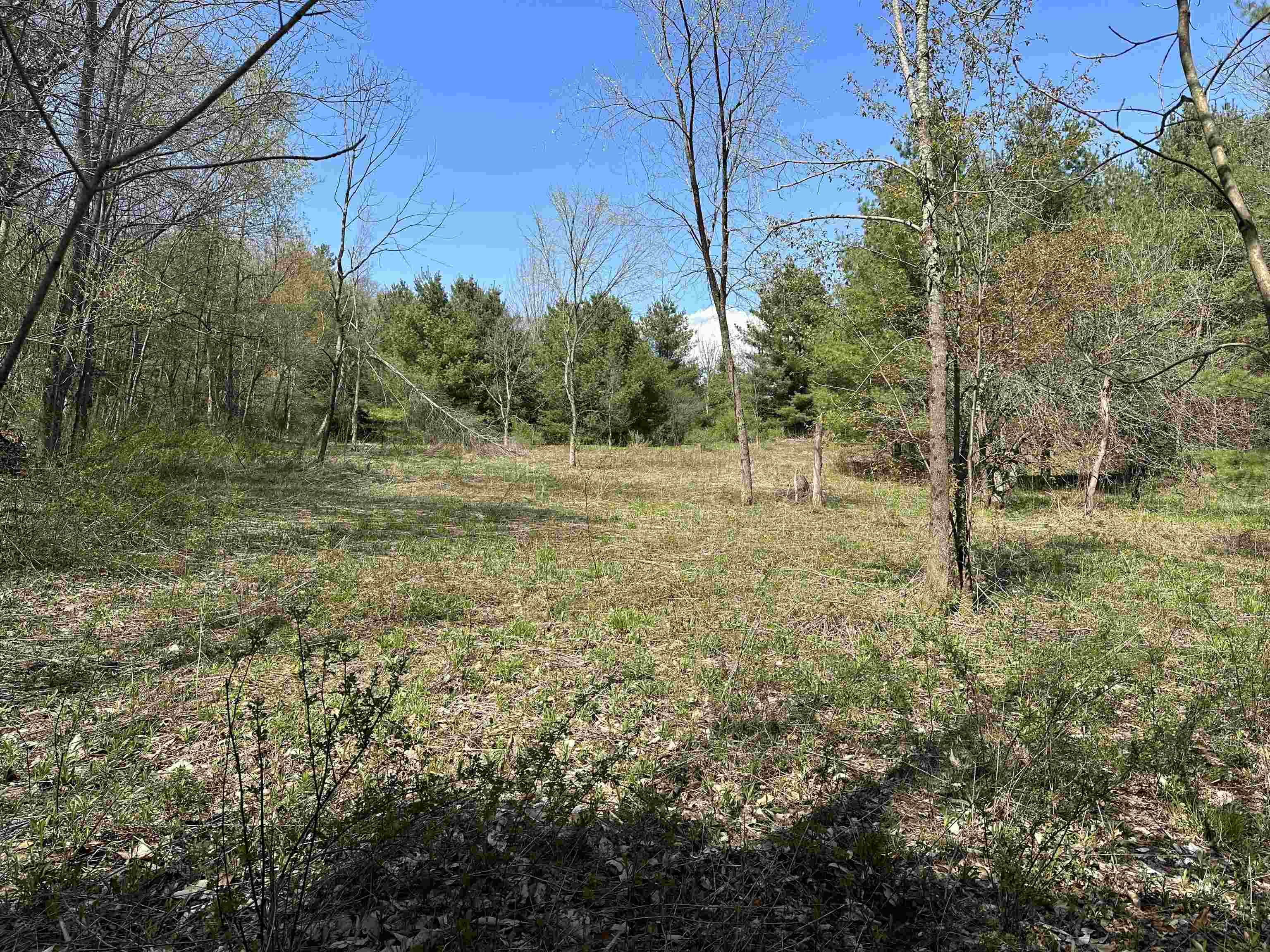 710 Herrick Brook Road Pawlet, VT 05761 - Photo 8 of 25 Gallery Image 8