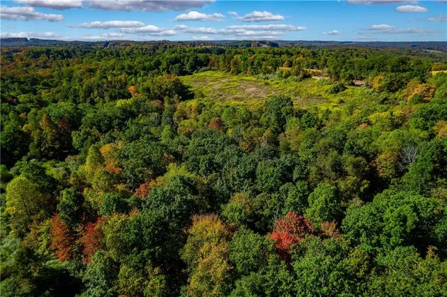 a view of a lake and a yard
