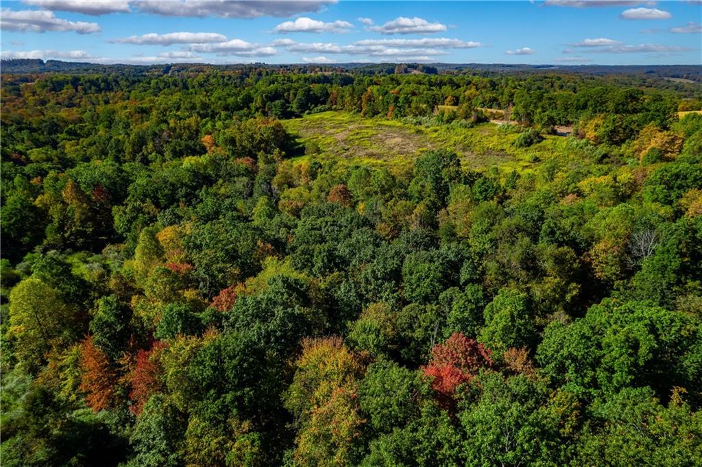 0 Oneida Valley Road North Washington, PA 16048 - Photo 12 of 13 a view of a back yard of a house