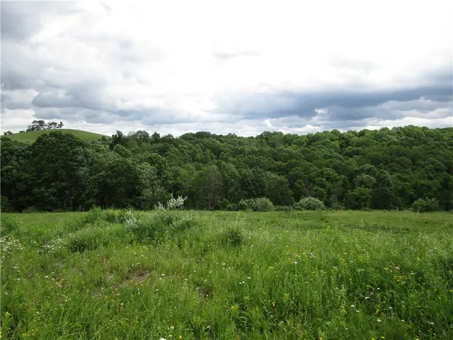 a view of a field of grass and trees