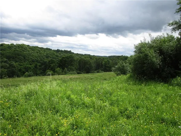 a view of a green field with lots of green space