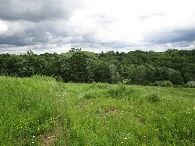 a view of a green field with lots of bushes