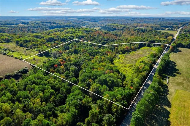 a view of a yard with a swimming pool