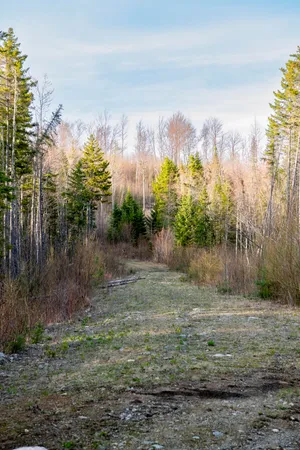 $399,999 | 460 Milan Hill Road, Milan, NH 03588