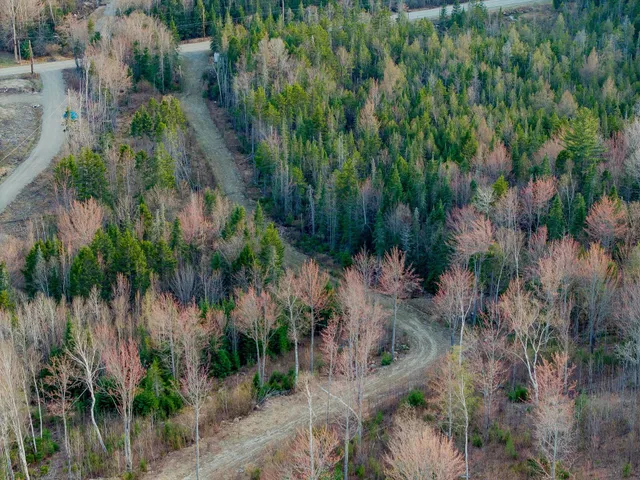 $383,150 | 460 Milan Hill Road, Milan, NH 03588