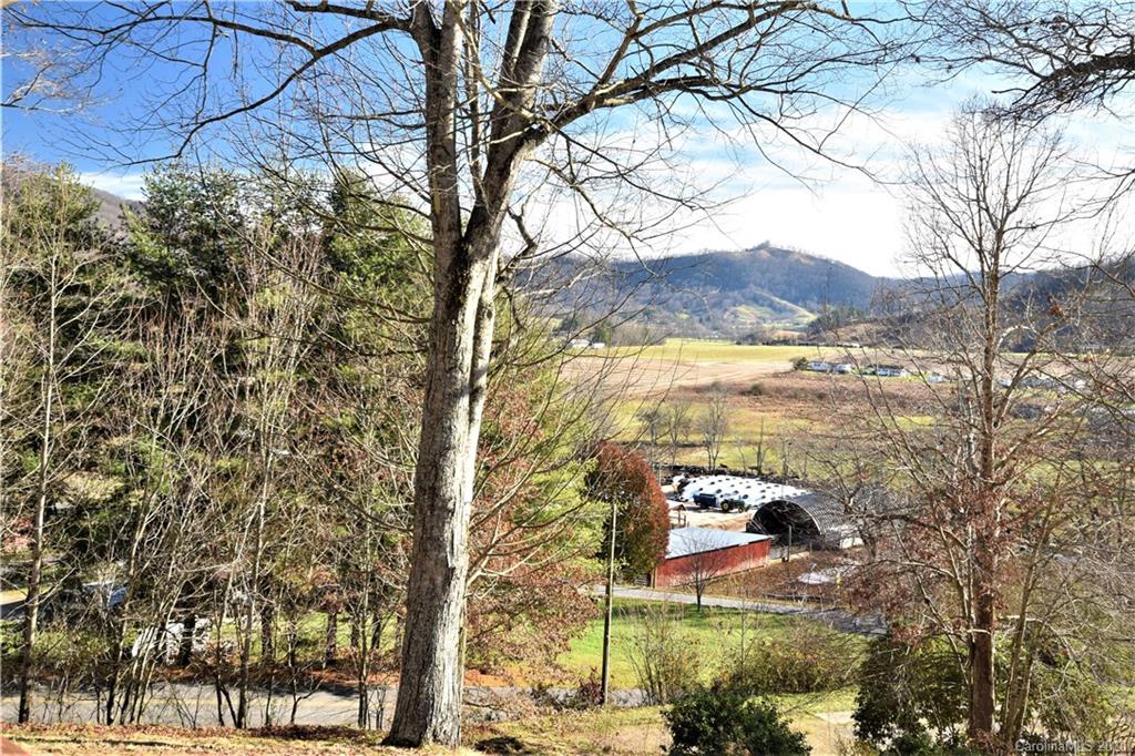 87 Beantown Road Waynesville, NC 28785 - Photo 34 of 45