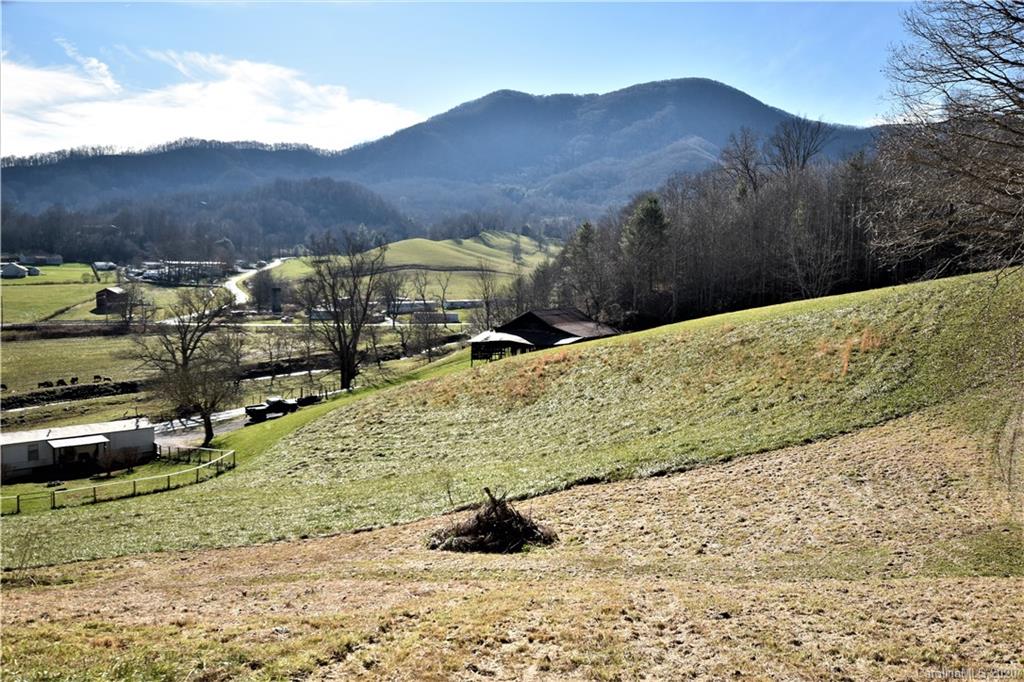 87 Beantown Road Waynesville, NC 28785 - Photo 36 of 45