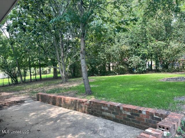 702 Persimmon Drive Starkville, MS 39759 - Photo 14 of 15 702 Persimmon Back 2