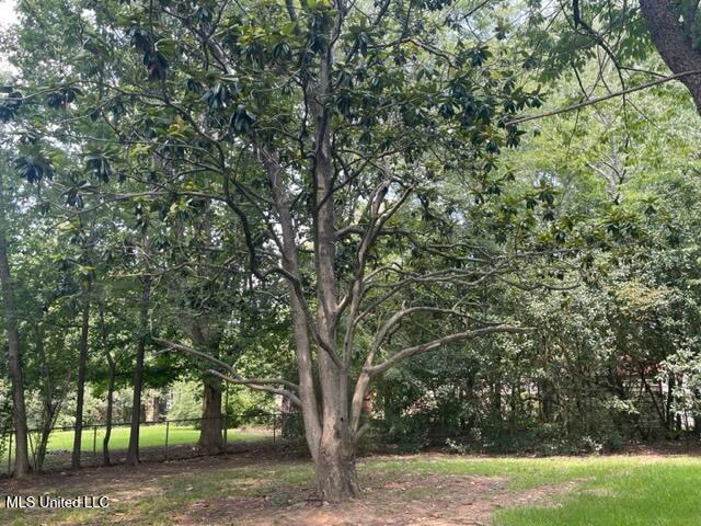 702 Persimmon Drive Starkville, MS 39759 - Photo 15 of 15 702 Persimmon Back 3
