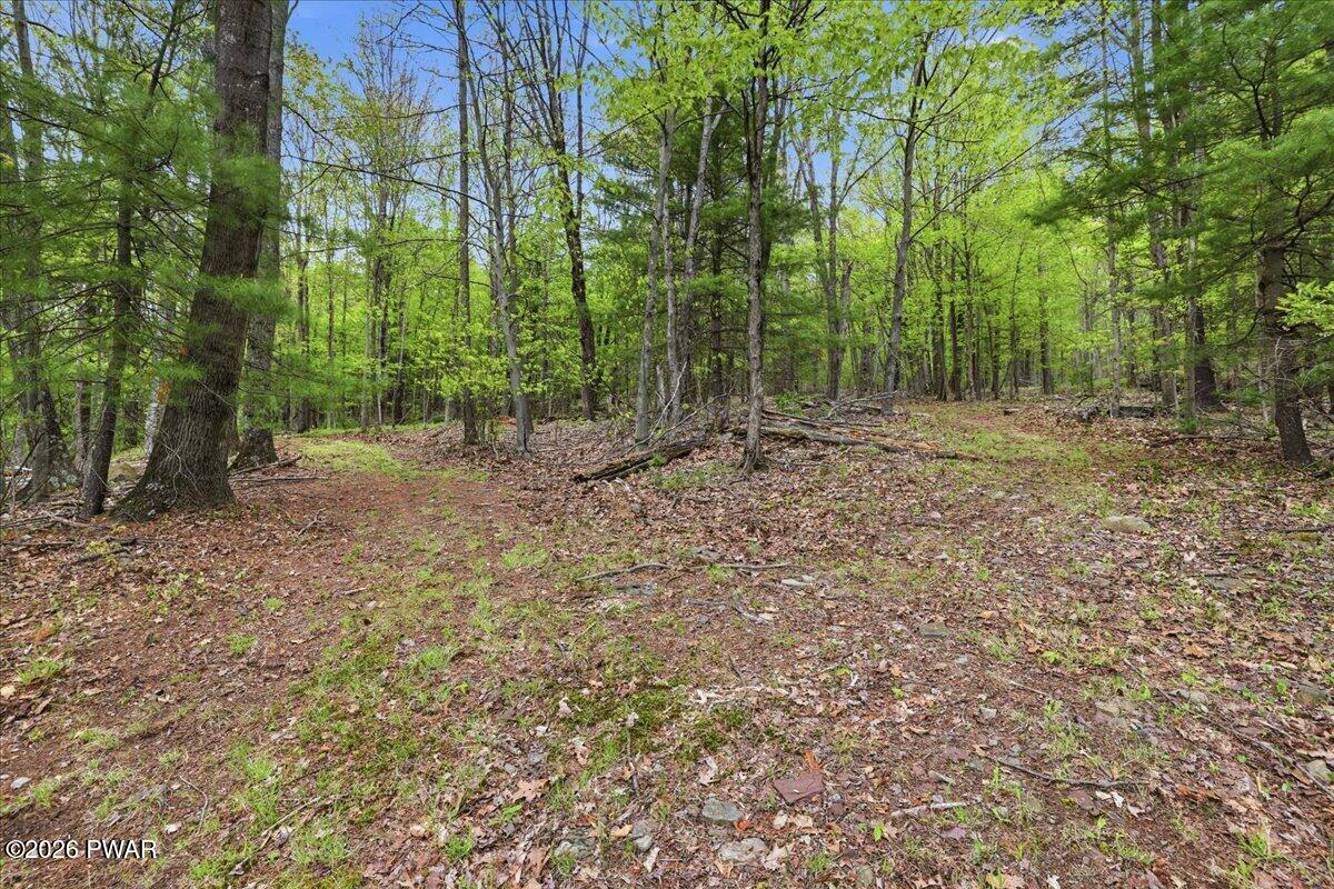 103 Forever Green Road Lakeville, PA 18438 - Photo 50 of 179