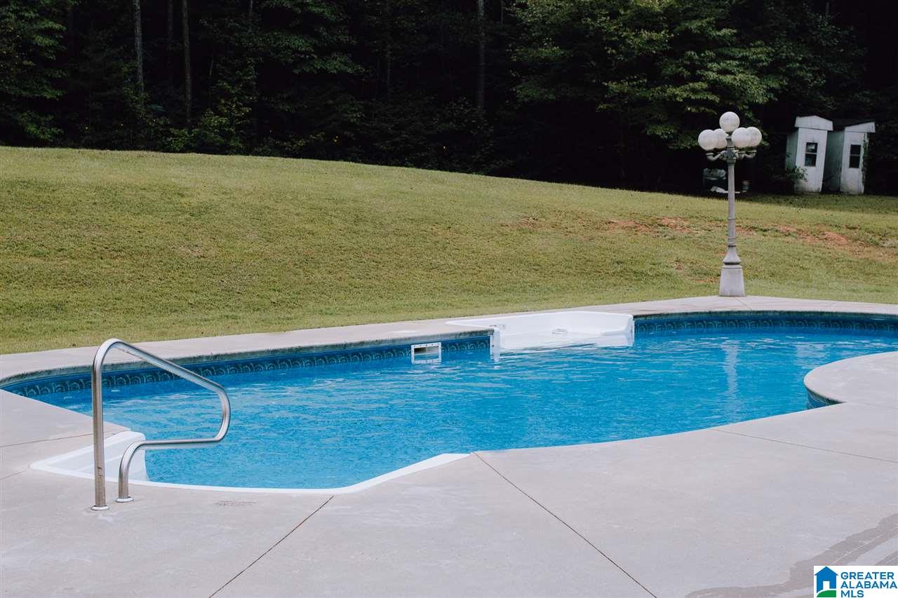 958 Possum Trot Road Piedmont, AL 36272 - Photo 8 of 39