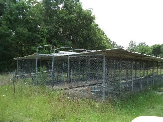 8572 Alton Wentworth Road Greenville, FL 32331 - Photo 1 of 9