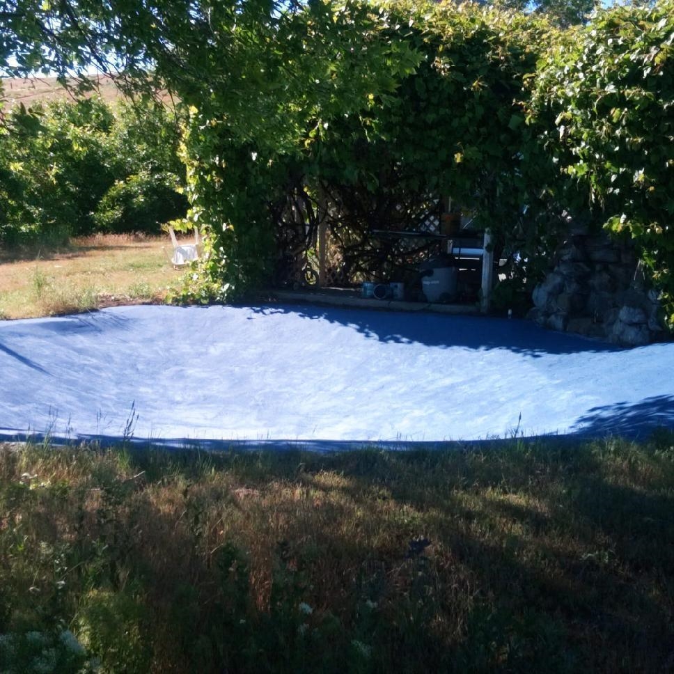 4552 Paradise Way Hunters, WA 99137 - Photo 12 of 18