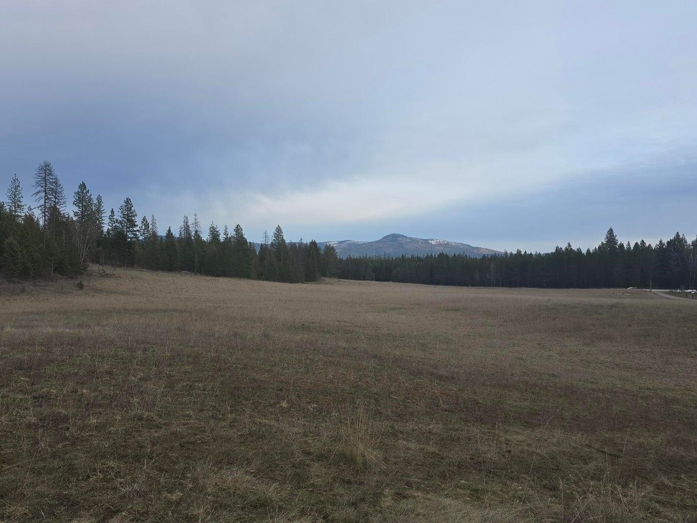 1114 Stohr Road Newport, WA 99156 - Photo 23 of 49