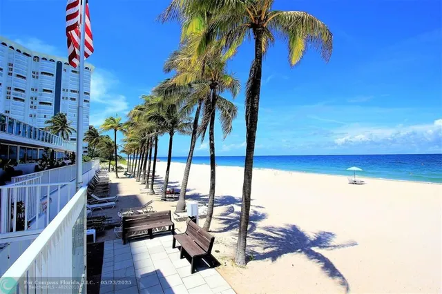a view of a palm tree with an outdoor space
