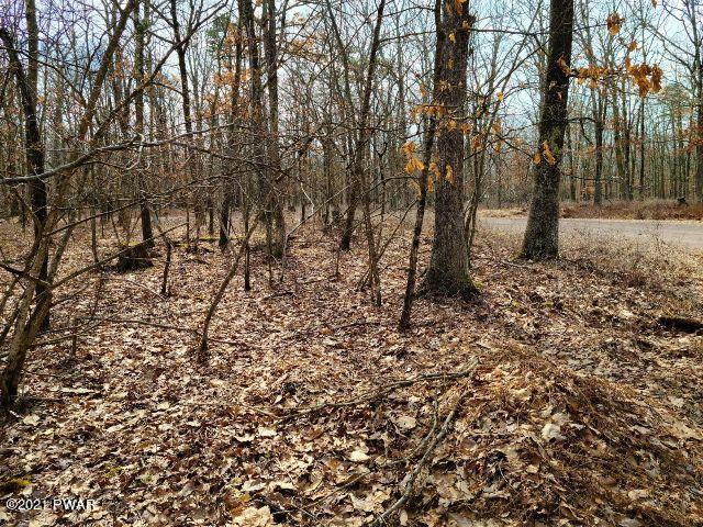108 Mountain Top Road Lackawaxen, PA 18435 - Photo 2 of 7