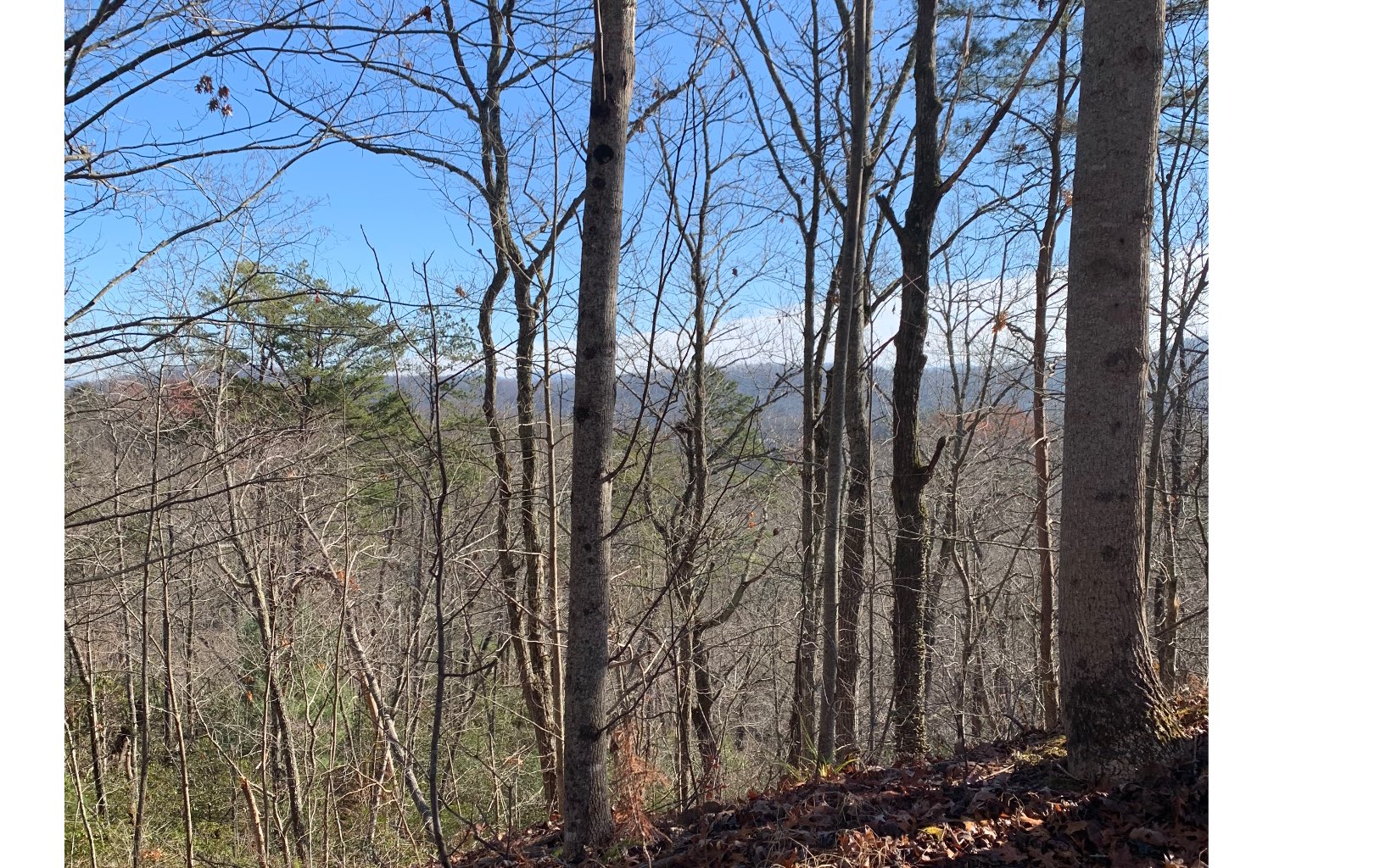 Lt2 Mountain Tops Circle Blue Ridge, GA 30513 - Photo 1 of 1 Main View
