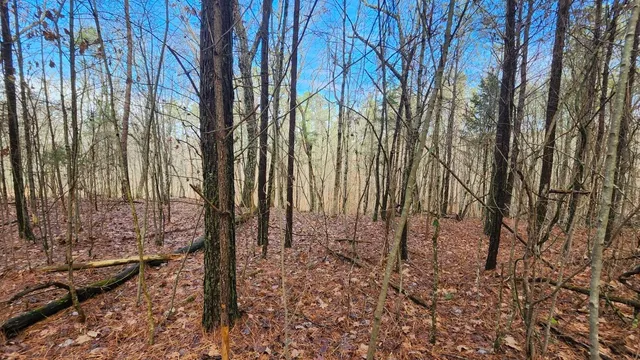 $123,000 | 0 Crockett (1.86 Acres) Point, Jasper, TN 37347