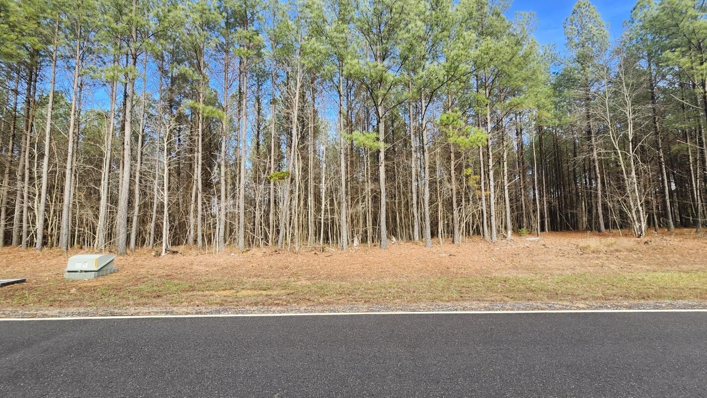 0 Crockett Pointe Jasper, TN 37347 - Photo 12 of 19