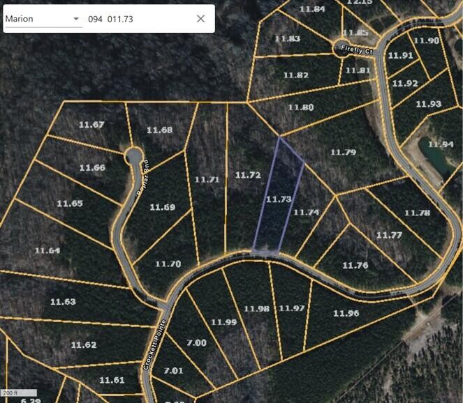 0 Crockett Pointe Jasper, TN 37347 - Photo 2 of 11