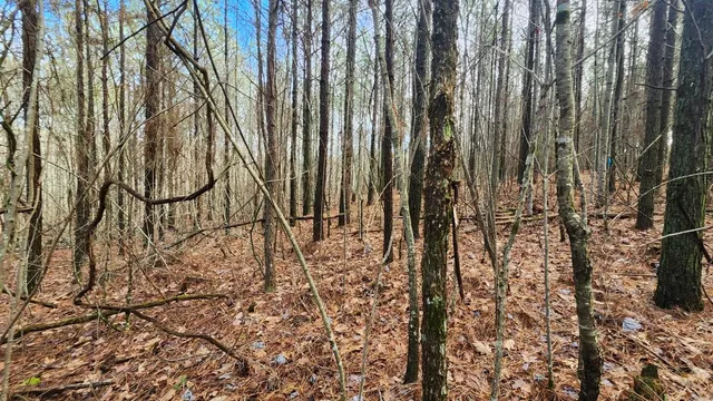 $123,000 | 0 Crockett Pointe, Jasper, TN 37347