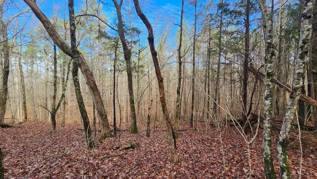 $123,000 | 0 Crockett Pointe, Jasper, TN 37347