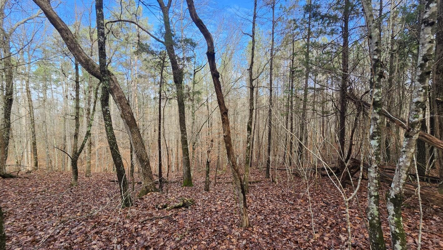 0 Crockett Pointe Jasper, TN 37347 - Photo 5 of 11