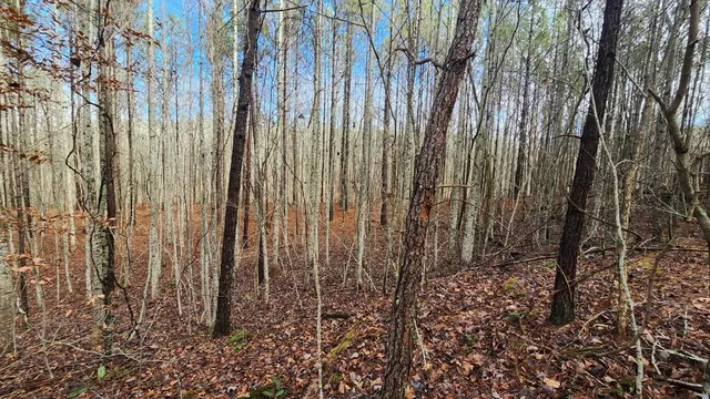 $123,000 | 0 Crockett Pointe, Jasper, TN 37347