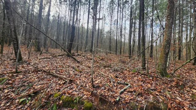 $123,000 | 0 Crockett Pointe, Jasper, TN 37347