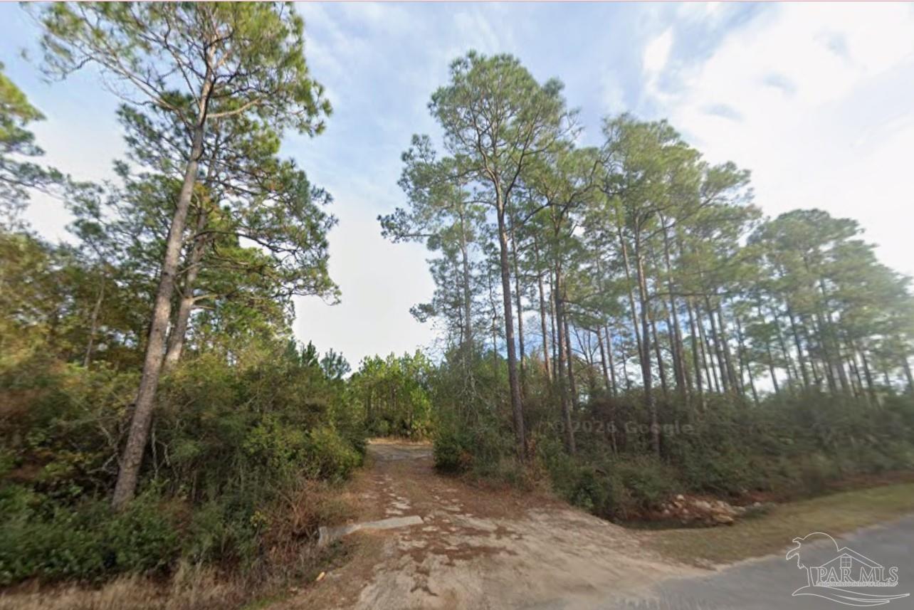 5599 Del Rey Street Milton, FL 32583 - Photo 12 of 25 a view of a forest