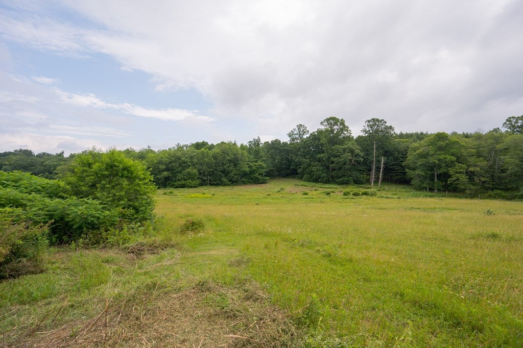 Tbd Keno Road Laurel Fork, VA 24352 - Photo 36 of 72 Gallery Image 36