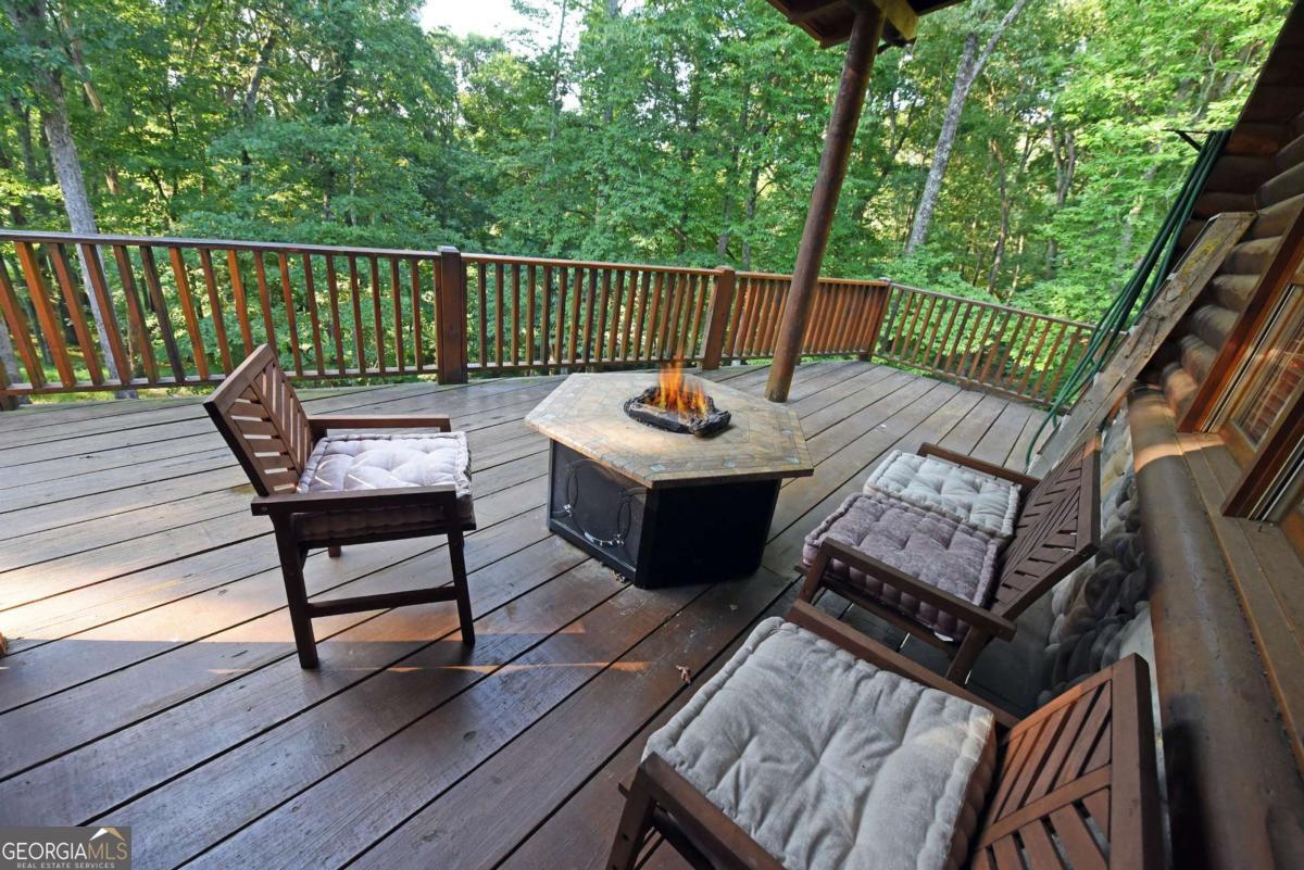 2682 Douthit Road Mineral Bluff, GA 30559 - Photo 7 of 60