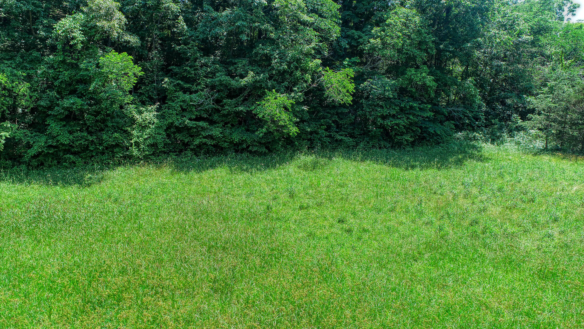 2120 Oakwood Road Midway, TN 37809 - Photo 12 of 38 Carter. 2120 Oakwood. Midway MLSa (17 o