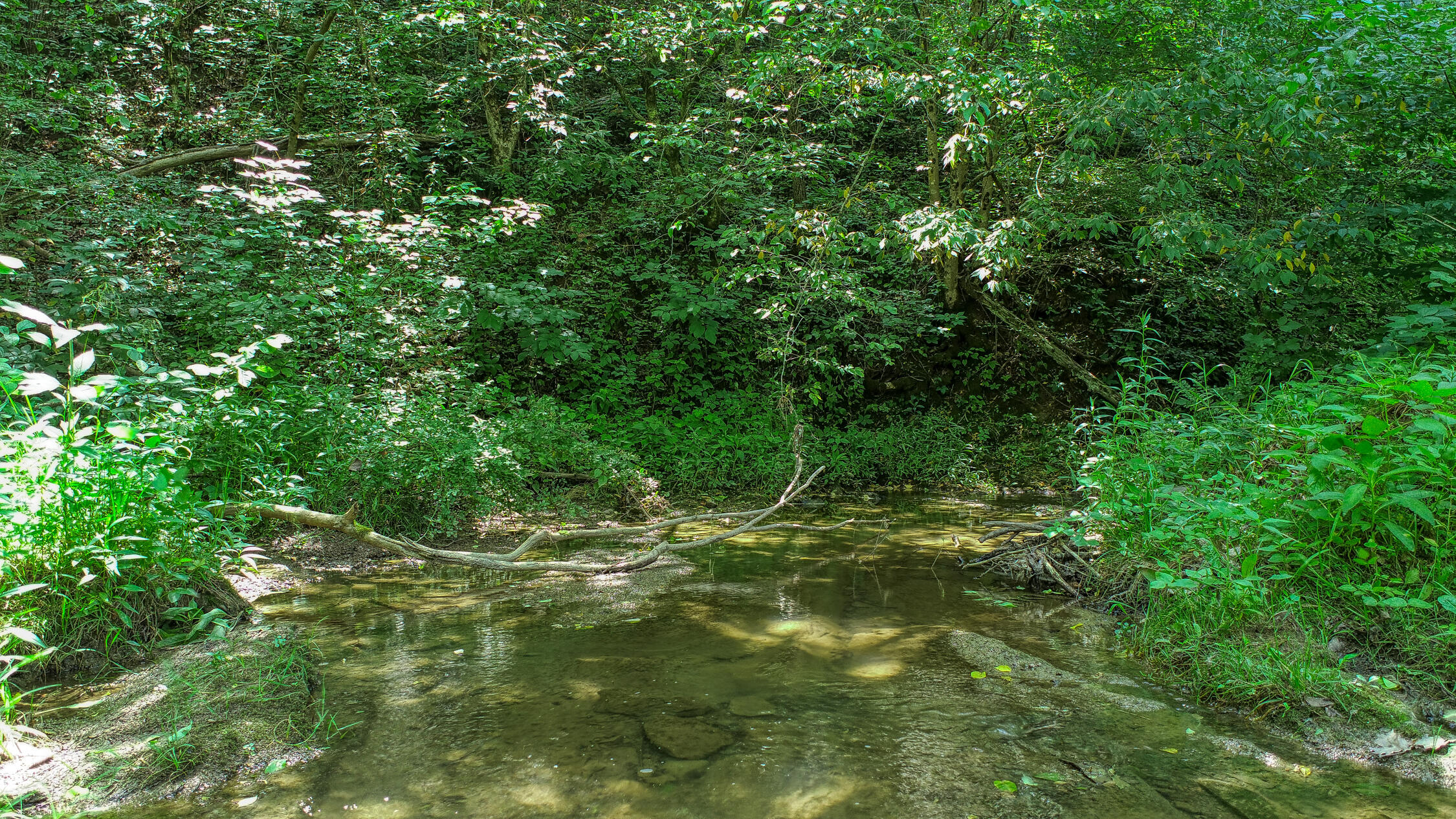 2120 Oakwood Road Midway, TN 37809 - Photo 14 of 38 Carter. 2120 Oakwood. Midway MLSa (33 o