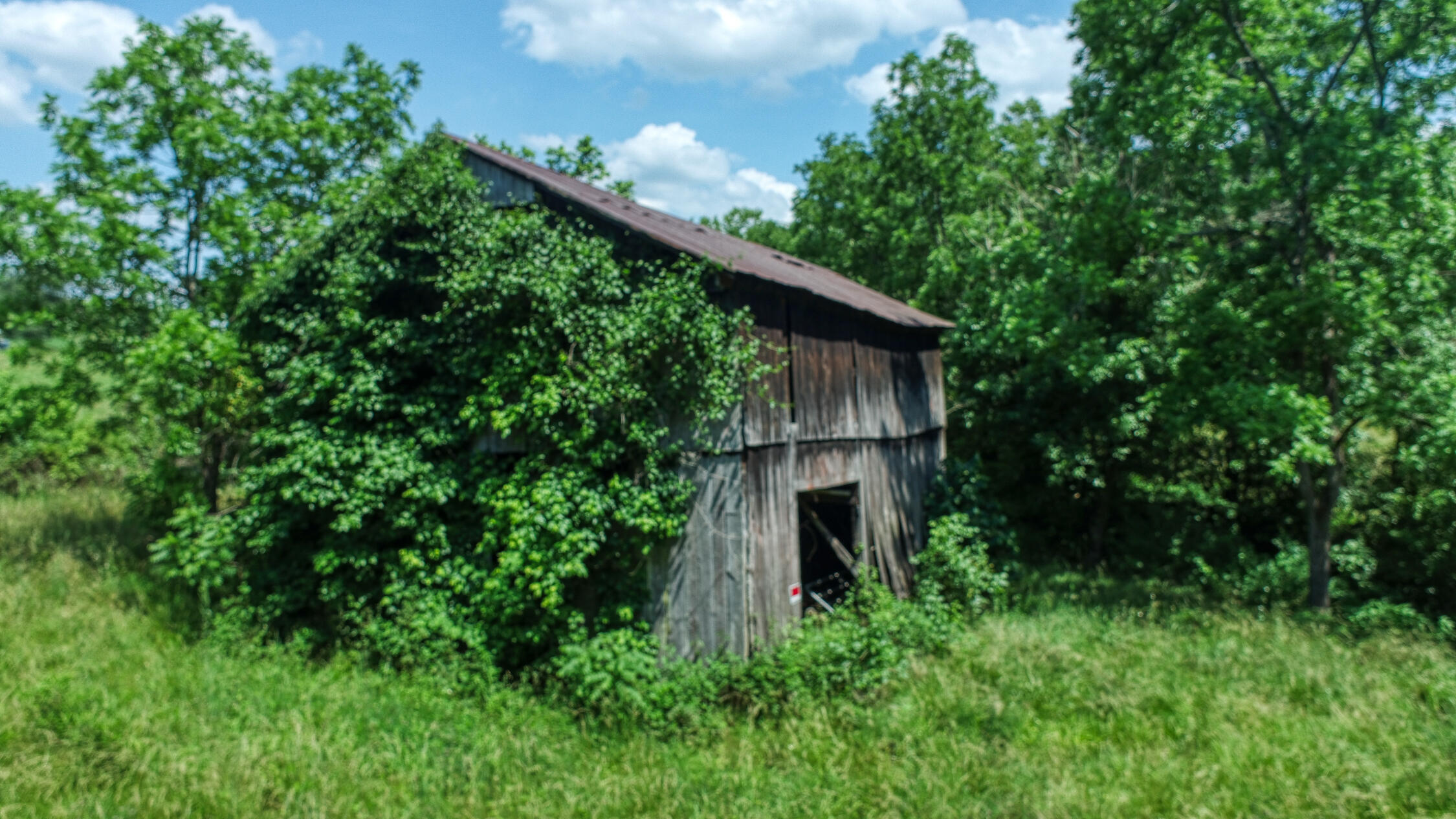 2120 Oakwood Road Midway, TN 37809 - Photo 17 of 38 Carter. 2120 Oakwood. Midway MLSa (37 o