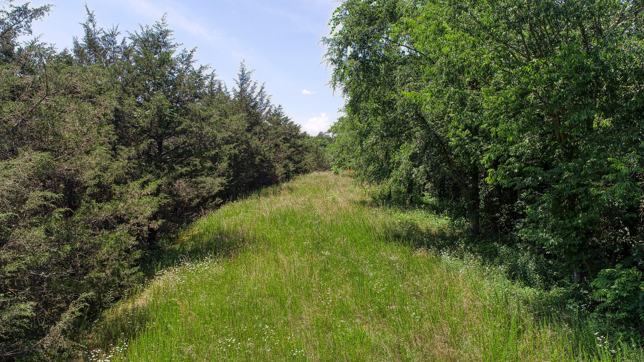 2120 Oakwood Road Midway, TN 37809 - Photo 22 of 38 Carter. 2120 Oakwood. Midway MLSa (16 o