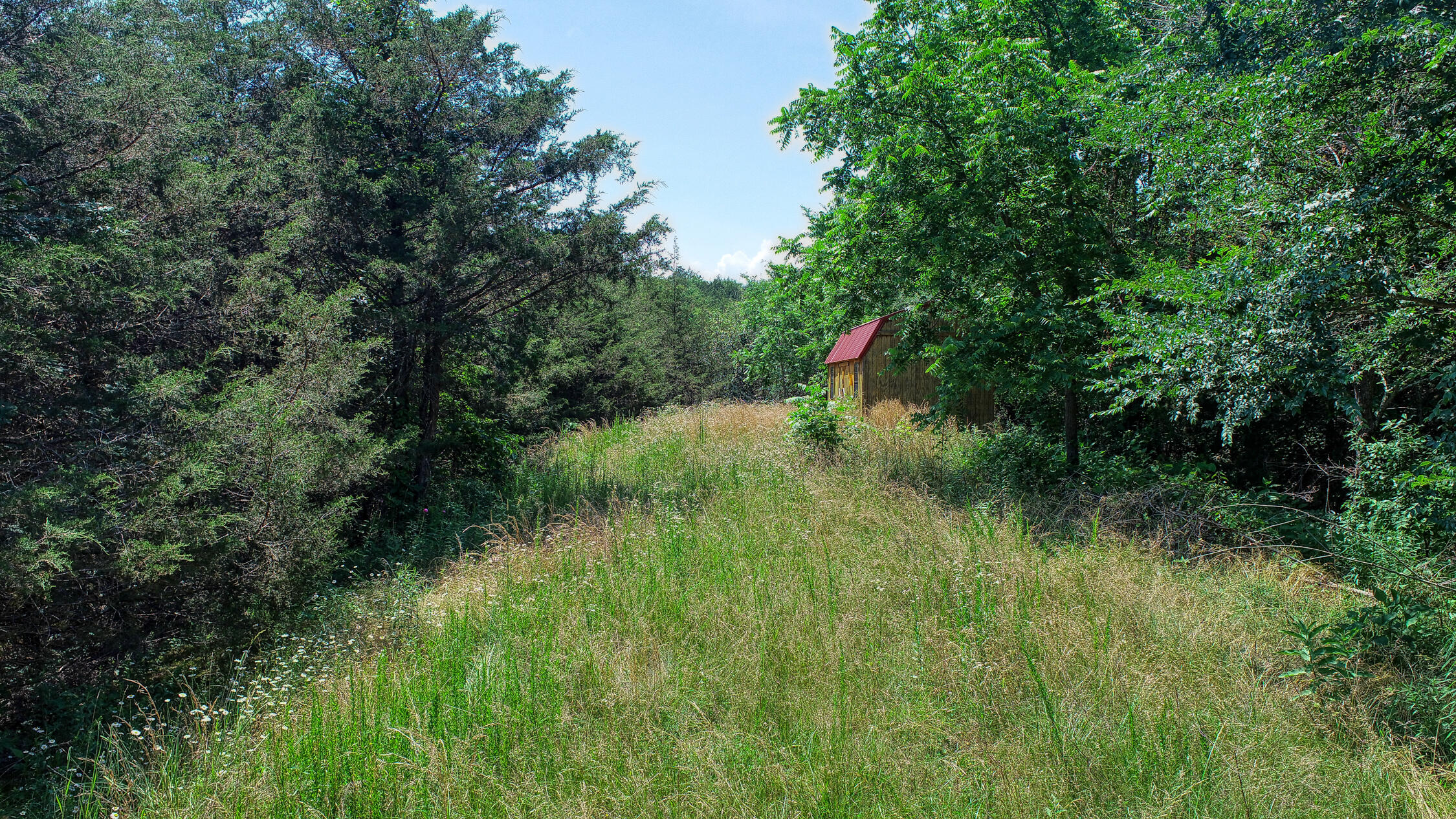 2120 Oakwood Road Midway, TN 37809 - Photo 23 of 38 Carter. 2120 Oakwood. Midway MLSa (25 o