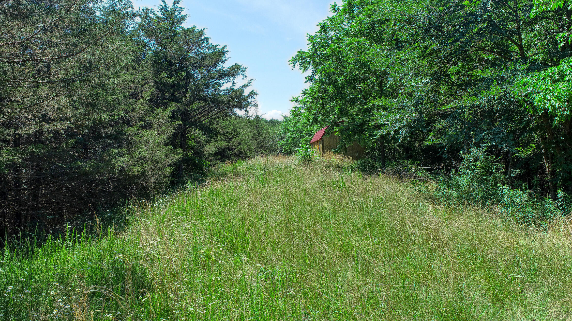 2120 Oakwood Road Midway, TN 37809 - Photo 24 of 38 Carter. 2120 Oakwood. Midway MLSa (13 o