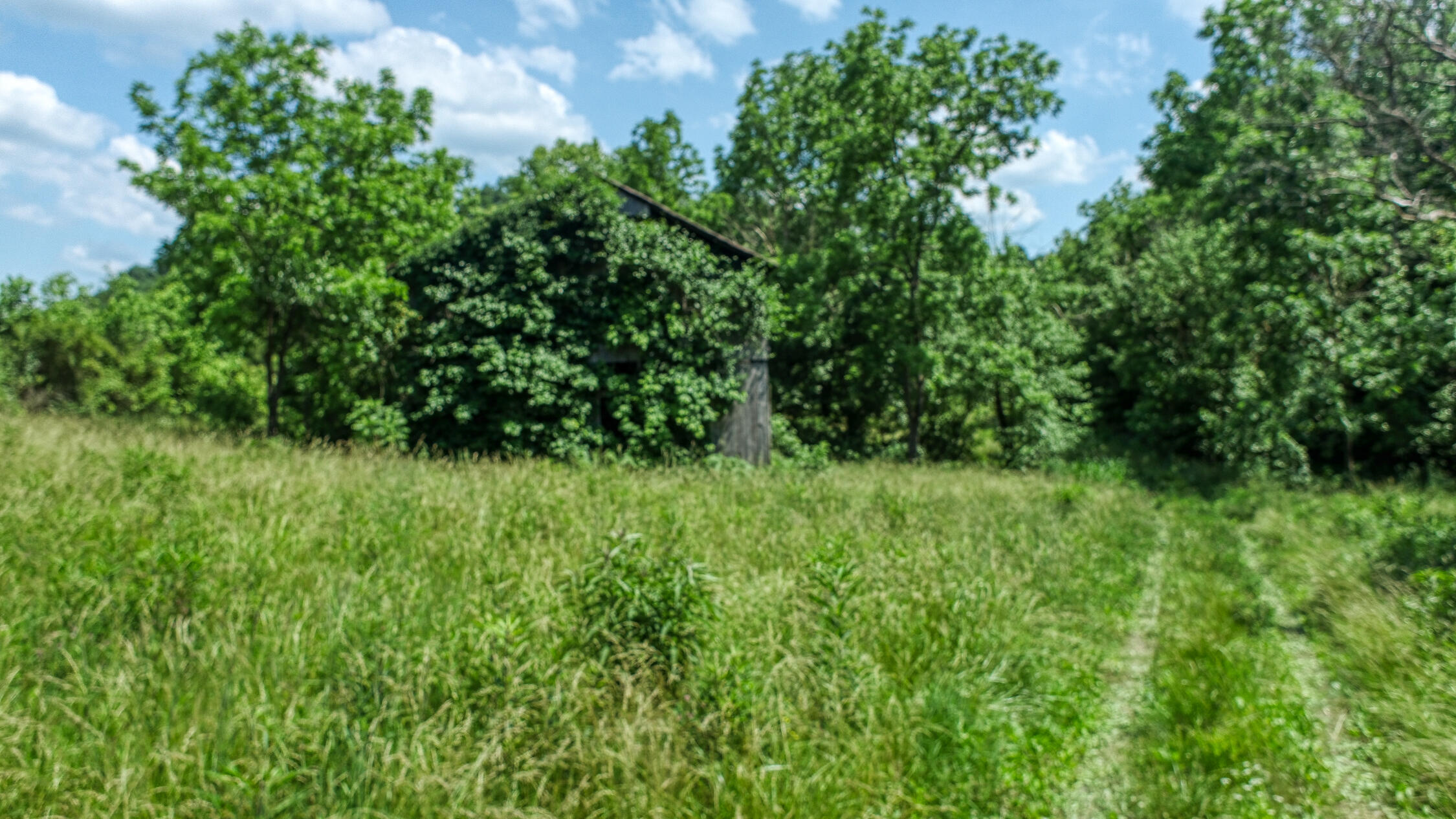 2120 Oakwood Road Midway, TN 37809 - Photo 25 of 38 Carter. 2120 Oakwood. Midway MLSa (36 o