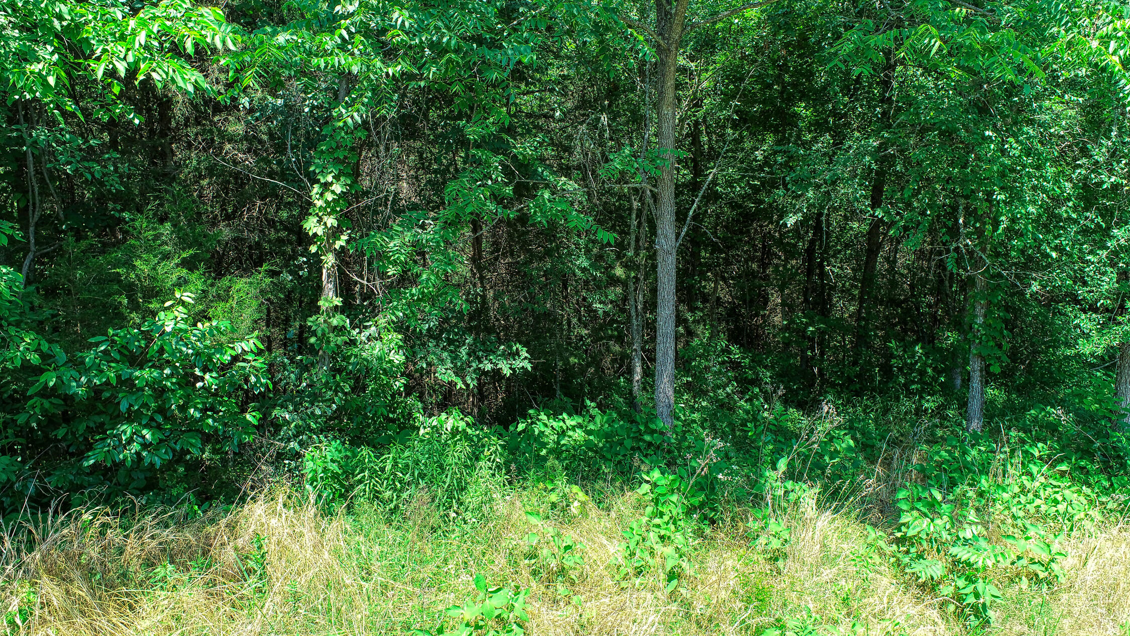 2120 Oakwood Road Midway, TN 37809 - Photo 26 of 38 Carter. 2120 Oakwood. Midway MLSa (19 o