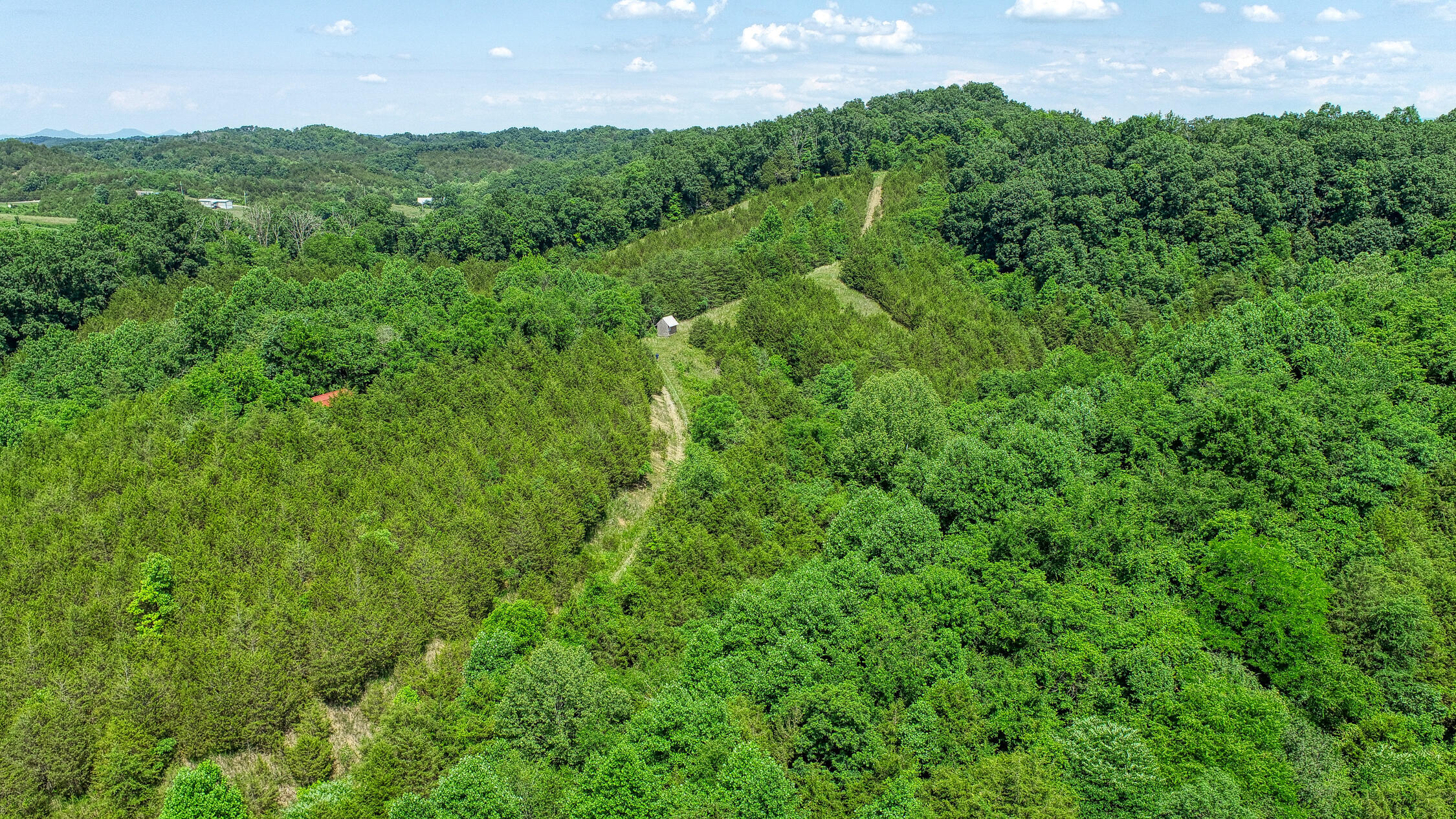 2120 Oakwood Road Midway, TN 37809 - Photo 28 of 38 Carter. 2120 Oakwood. Midway MLSa (29 o